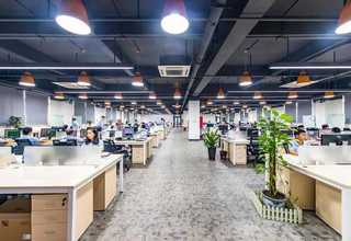 湘西有哪些猫粮零食营养品新报价