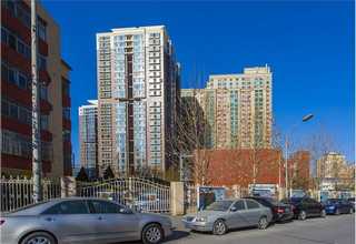 崇明区正规塑胶价格大全